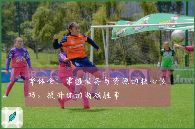 华体会：掌握装备与资源的核心技巧，提升你的游戏胜率
